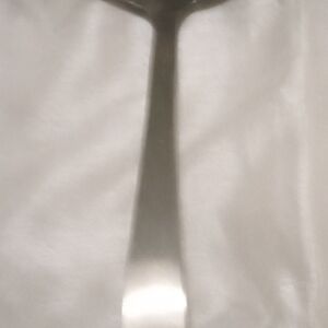 Stainless Steel 1/4 Cup  Serving Spoon